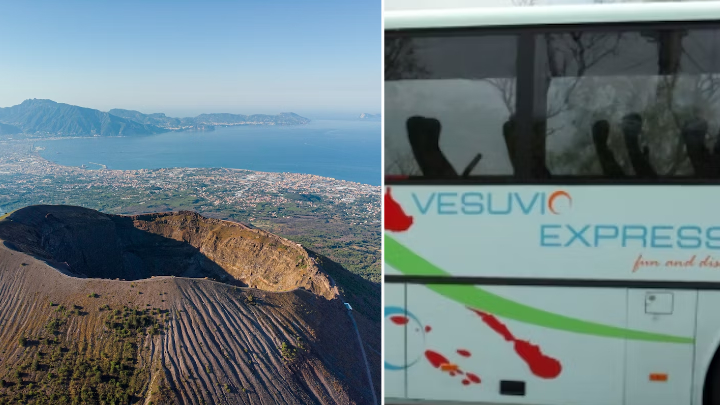 Vesuvius ticket + transport from Herculaneum